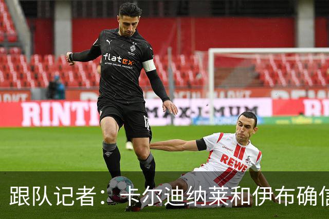 跟队记者：卡尔迪纳莱和伊布确信会在10号前敲定米兰新帅